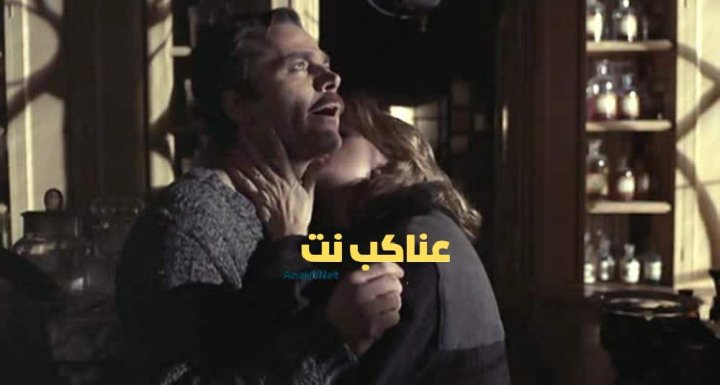 فيلم Submission 1976 مترجم